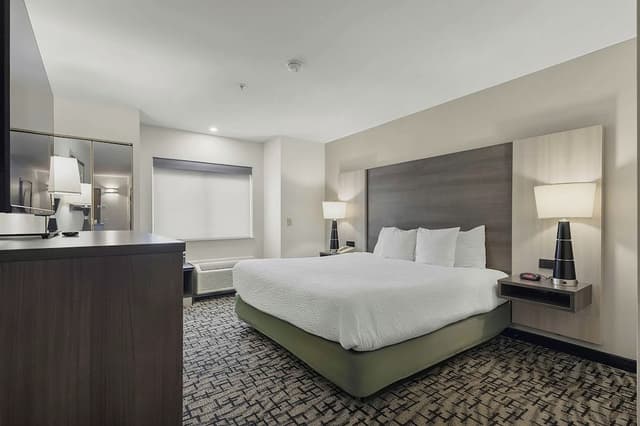 Standard Room, 1 King Bed, Accessible, Non Smoking