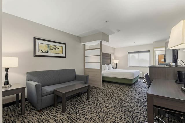 Suite, 1 King Bed, Non Smoking, Refrigerator & Microwave (Shower Only)
