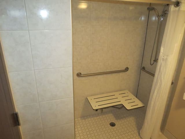 Room, 1 King Bed, Accessible, Non Smoking (Hearing, Roll-In Shower)