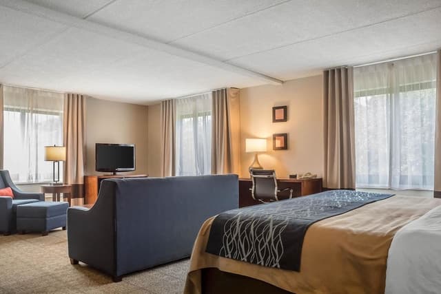 Suite, 1 King Bed with Sofa bed, Accessible, Non Smoking (Upgrade)