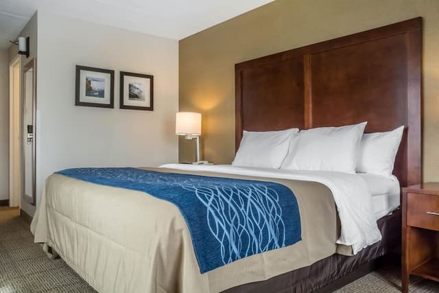 Standard Room, 1 King Bed, Non Smoking