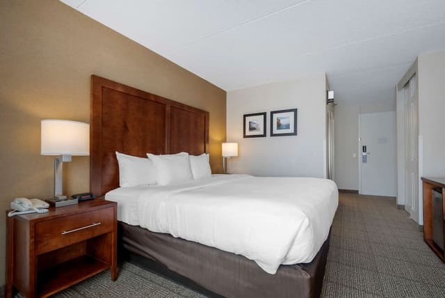 Standard Room, 1 King Bed, Non Smoking