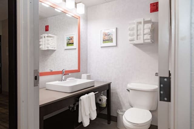 Suite, 1 King Bed, Refrigerator & Microwave (Wet bar)