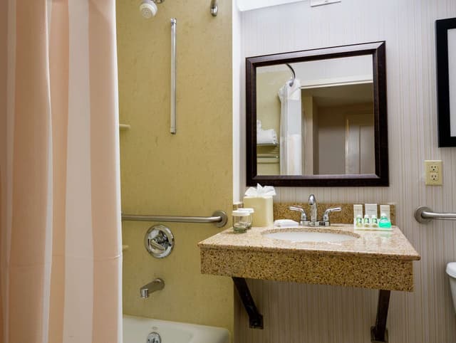 1 KING MOBILITY ACCESSIBLE W/BATHTUB