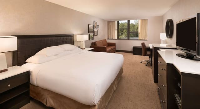 Room, 1 King Bed, Accessible