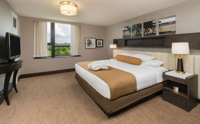 LUXURY SUITE ONE KING BED