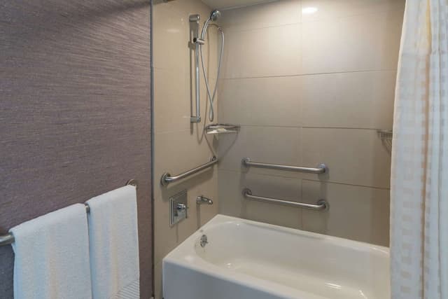 1 KING MOBILITY ACCESSIBLE W/ BATHTUB