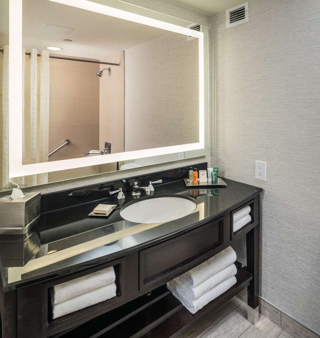LUXURY SUITE ONE KING BED