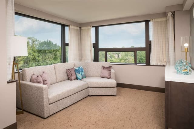 LUXURY SUITE ONE KING BED