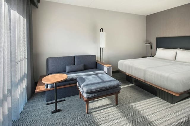 Room, 1 King Bed with Sofa bed