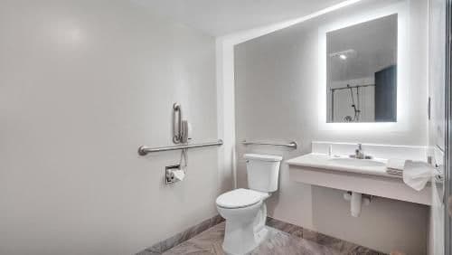 1 King Bed, Mobility Accessible Room, Roll-In Shower, Non-Smoking