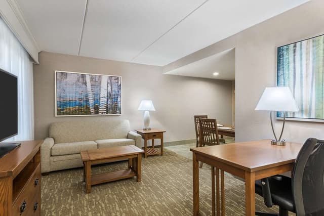 1 KING BED STUDIO SUITE NONSMOKING