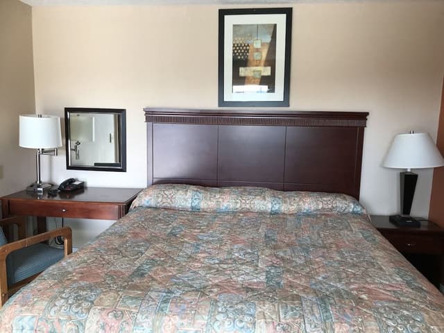 Standard Room, 1 King Bed, Non Smoking