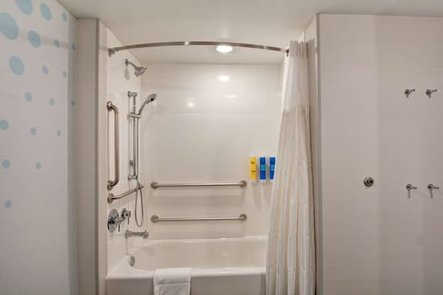 1 KING MOBILITY ACCESSIBLE W/BATHTUB