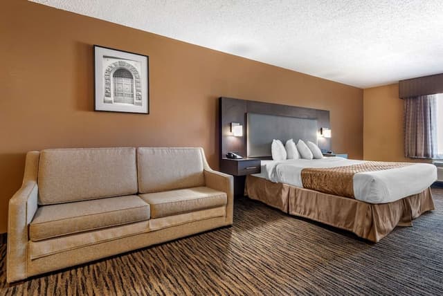 Suite, 1 King Bed, Non Smoking, Jetted Tub (with Sofabed)