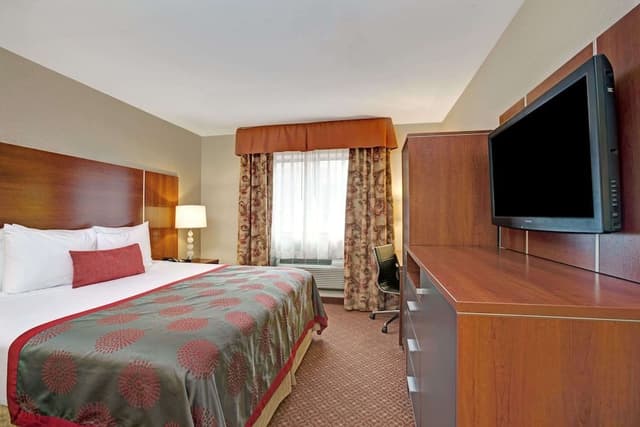 Room, 1 King Bed, Smoking