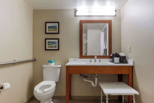 Room, 1 King Bed, Accessible, Non Smoking