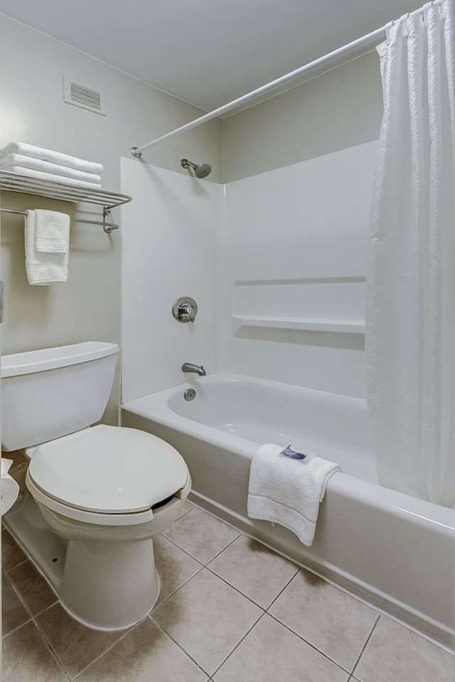 Studio Suite, 1 King Bed with Sofa bed, Kitchenette