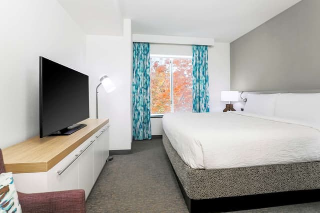 1 KING BED 1 BEDROOM SUITE WITH SOFABED