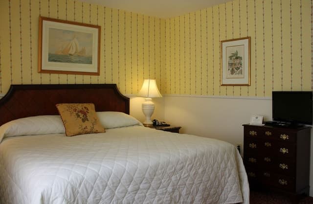 Deluxe Room, 1 King Bed (No Pets)