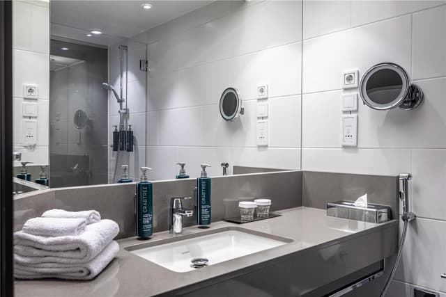TWIN EXECUTIVE ROOM