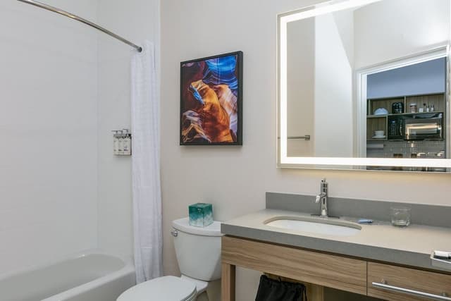 Suite, 1 Bedroom (1 King Bed, Sofa Bed)