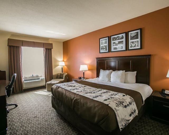 Standard Room, 1 King Bed, Non Smoking