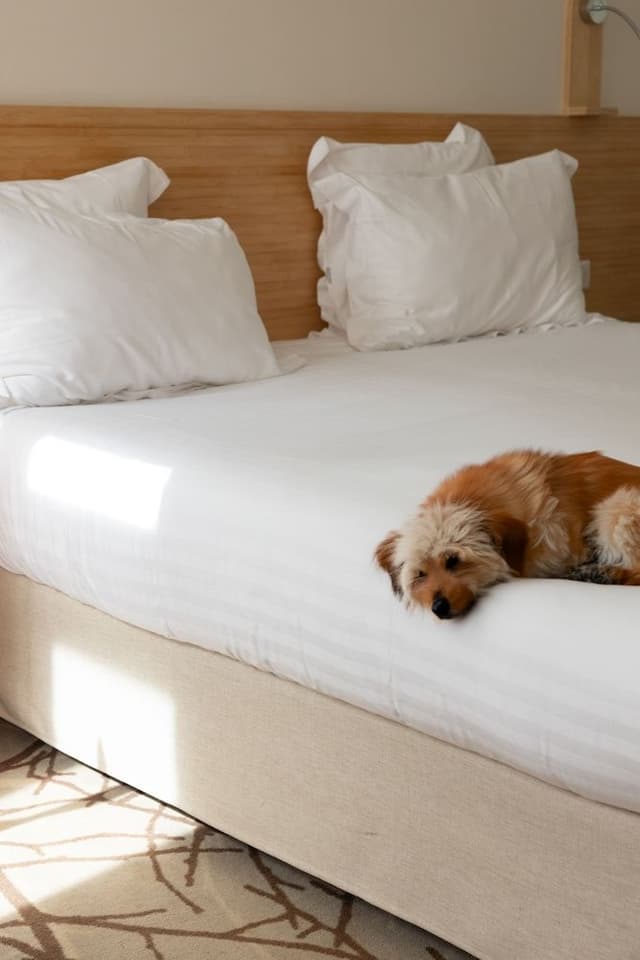Comfort with 1 double bed, non-smoking