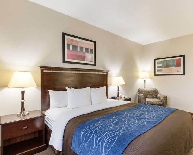 Standard Room, 1 King Bed, Non Smoking