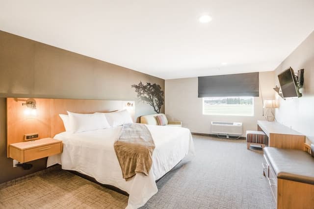 Elite Room, 1 King Bed with Sofa bed, Refrigerator & Microwave, Desert View