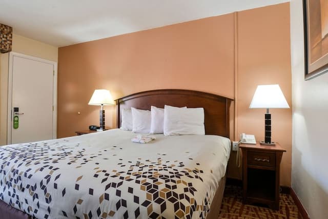 Superior Room, 1 Queen Bed, Non Smoking