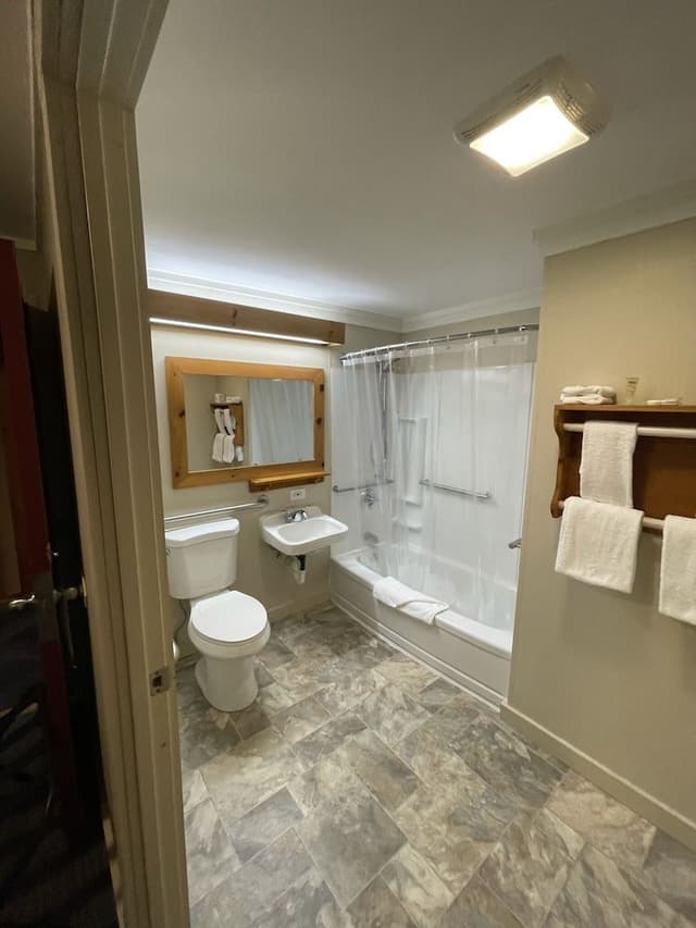 Deluxe Room, 1 King Bed, Accessible