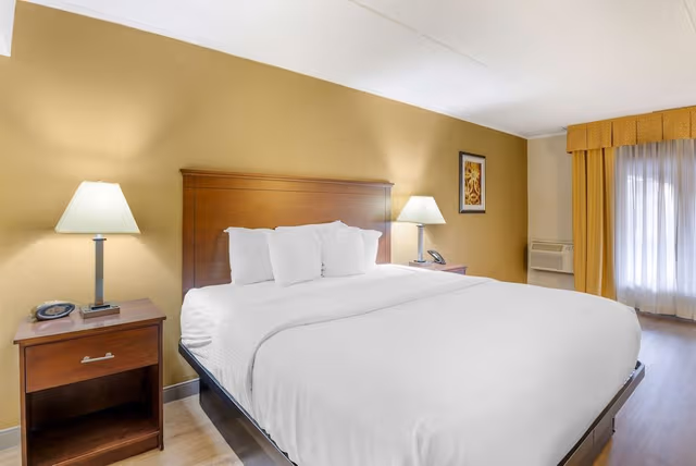 Deluxe Room, 1 King Bed, Non Smoking, Jetted Tub