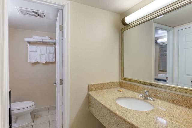 Deluxe Room, 1 King Bed, Non Smoking, Jetted Tub