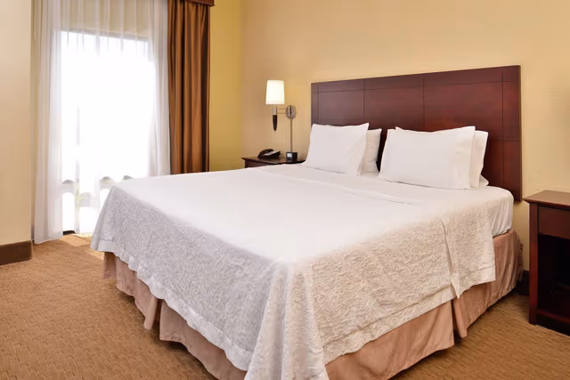 1 KING BED DELUXE ROOM W/ SOFABED NONSMOKING