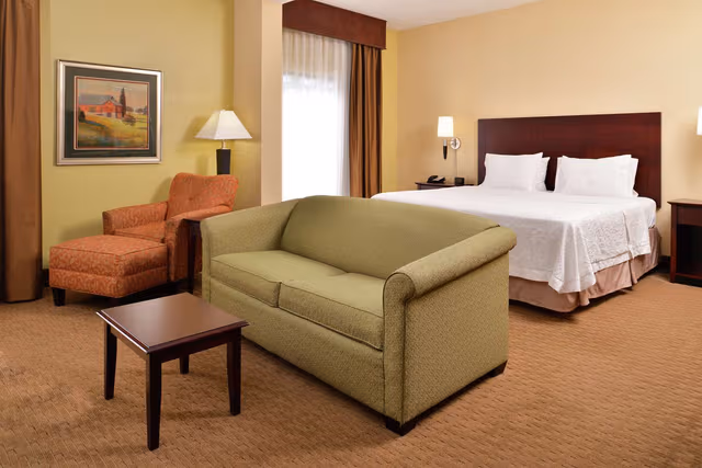 1 KING BED DELUXE ROOM W/ SOFABED NONSMOKING
