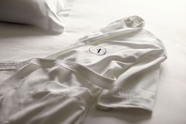 The Grand Den Mobility-Accessible Suite with Roll-In Shower