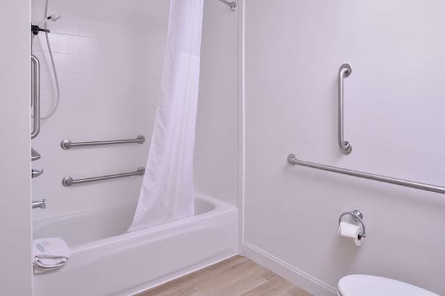1 KING MOBILITY ACCESS WITH TUB NONSMOKING