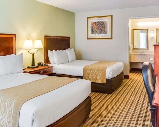 Standard Double Room, 2 Double Beds, Non Smoking