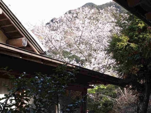 Class 2, Annex Building, Outdoor Bath (Run of the house / pictures are examples)