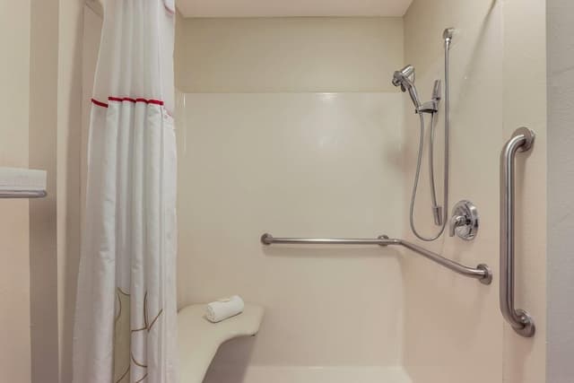 1 King Bed, Accessible, Non Smoking (Efficiency, Roll-in Shower)