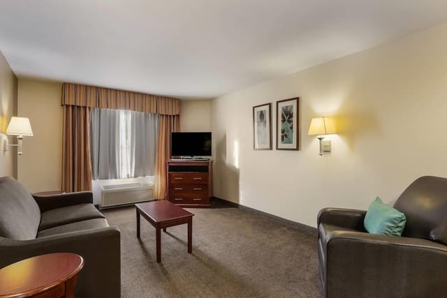 Suite, 1 King Bed with Sofa bed, Non Smoking (Efficiency)