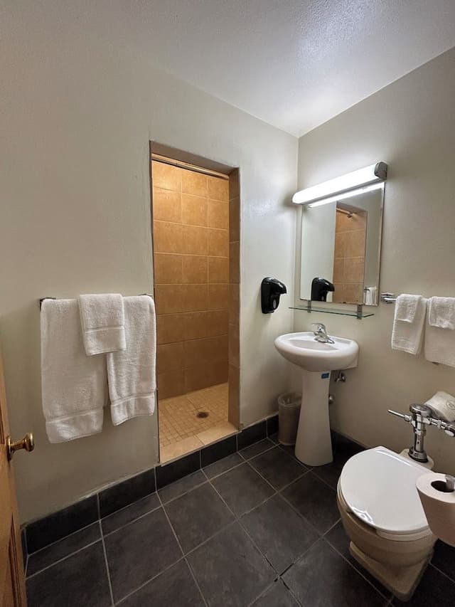 Basic Double Room, 2 Double Beds