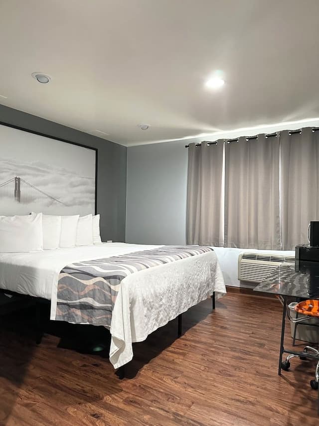 Standard Room, 1 King Bed, Non Smoking