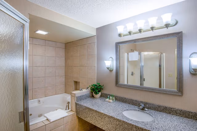 Suite, 1 King Bed