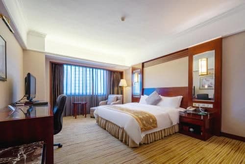 Standard Suite