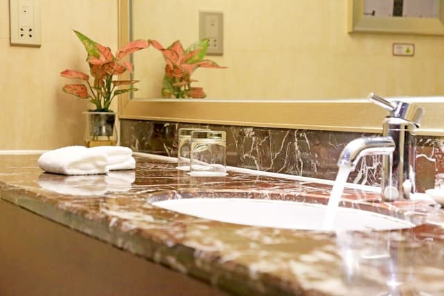 Executive Deluxe Twin Room