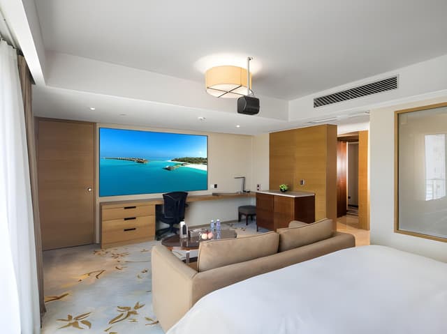 Deluxe Business Room