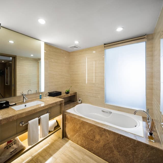 Deluxe Business Room