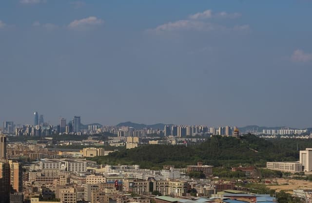 Executive Room, 1 King Bed, City View